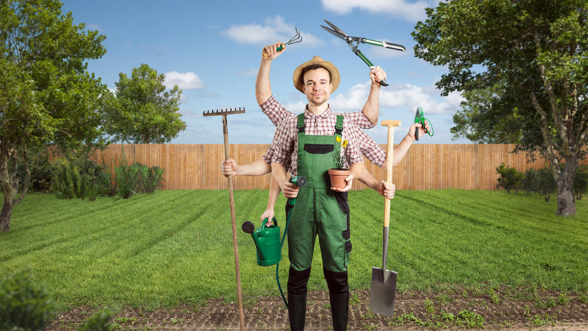 Hilarious Moments in a Landscaper Job Interview