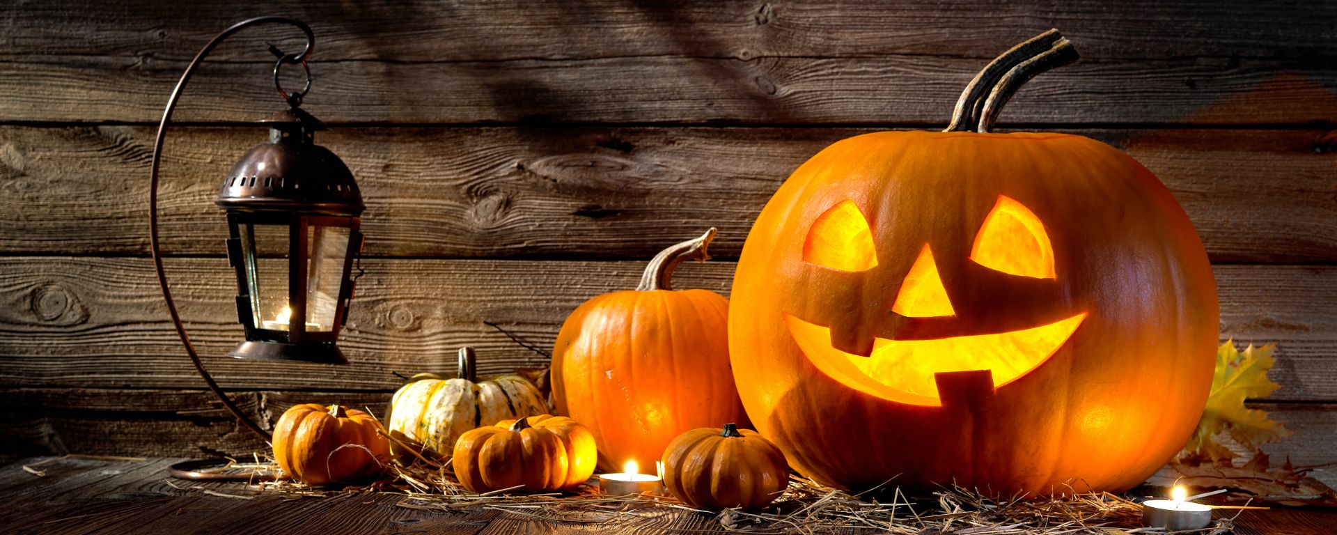 Halloween Trick-or-Treat: A Comprehensive Guide to Safe, Inclusive, and Joyful Community Celebration for American Families
