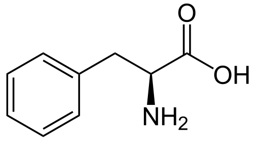 苯丙酮尿症