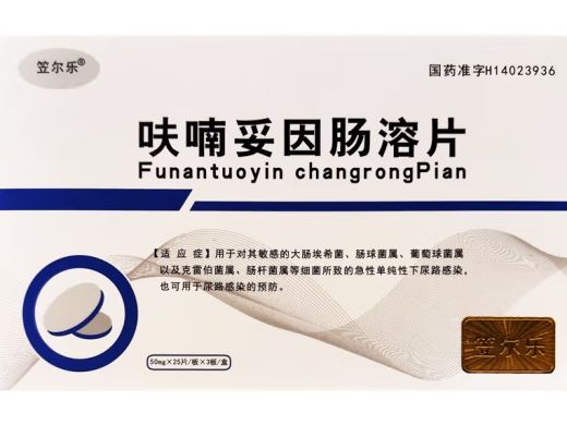 Nitrofurantoin Enteric-coated Tablets