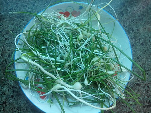 野蒜