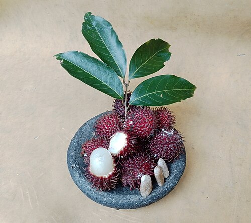 红毛丹