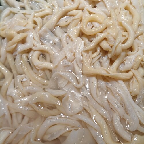 鸭肠