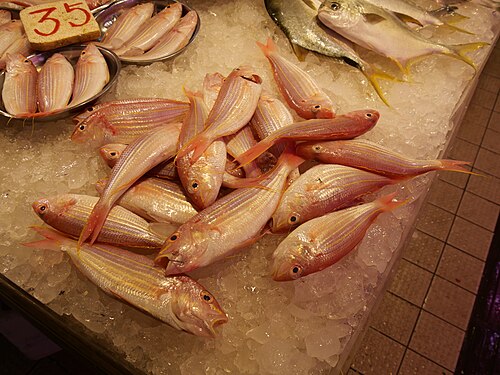 金线鱼