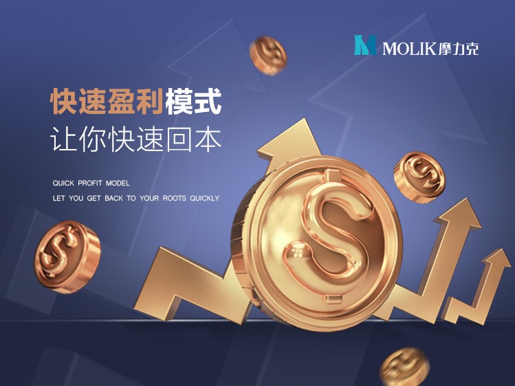 摩力克MOLIK窗帘窗帘布艺加盟 10-50万投资 实地考察选址 量身定制装修 缩略图 5