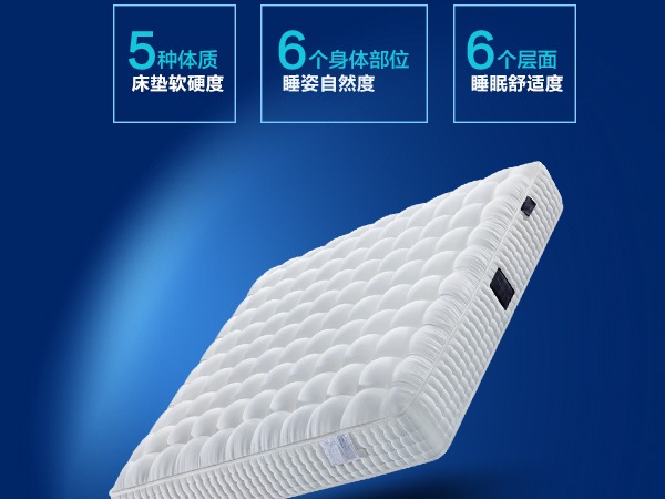 尚驰家居SANCI家具加盟 20-50万投资 实地考察选址 总部统一装修 缩略图 9