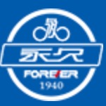 永久电动自行车