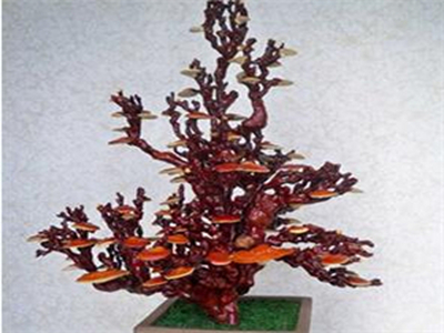 丰宝灵芝盆景饰品加盟 10.7万起投资 实地考察选址 总部统一装修 缩略图 3