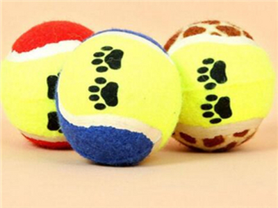 晨辰宠物用品宠物店加盟 7.7万起投资 实地考察选址 总部统一装修 缩略图 2