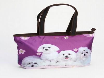 艾趣箱包箱包皮具加盟 11万起投资 实地考察选址 总部统一装修 缩略图 2