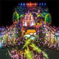 sunny喜铺婚礼策划