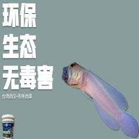 南宝生态池漆