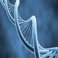 千讯生物基因检测